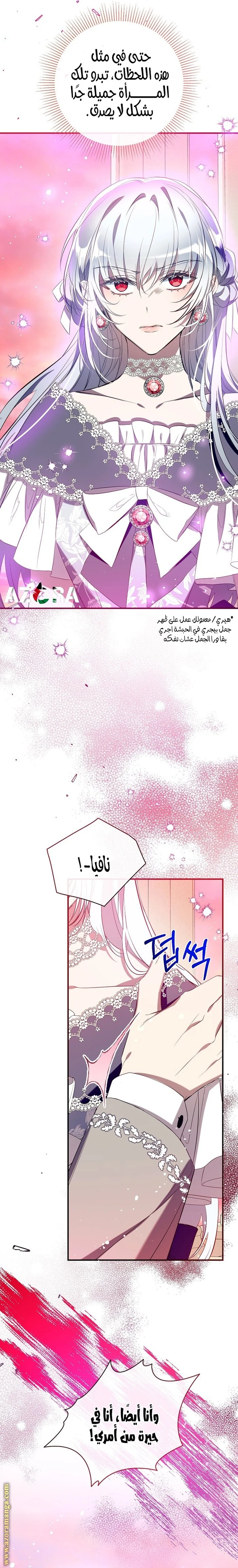 الصفحة 25