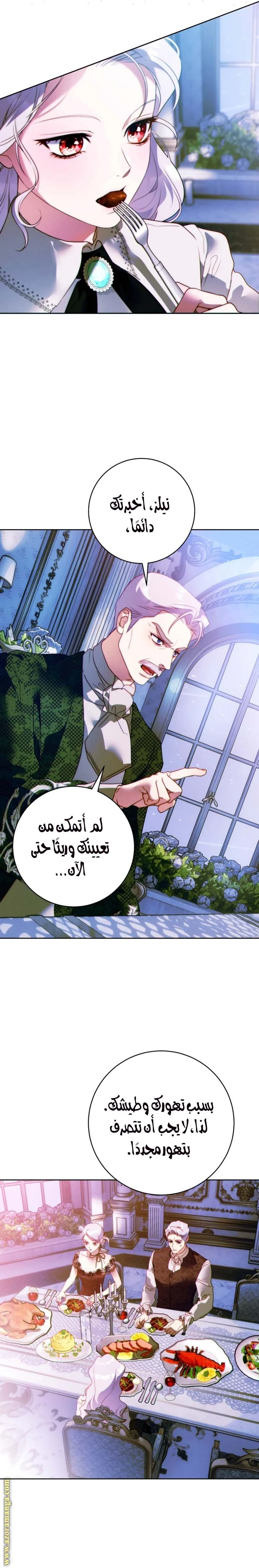 الصفحة 17