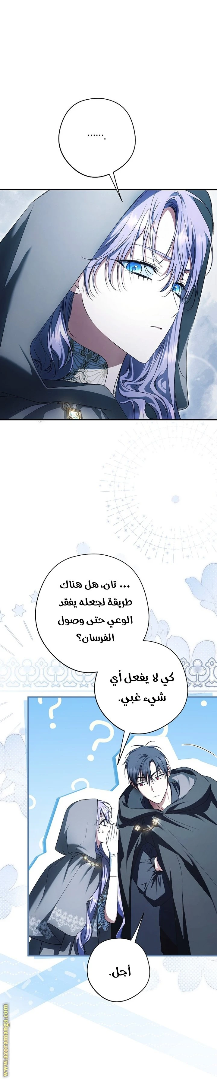 الصفحة 31