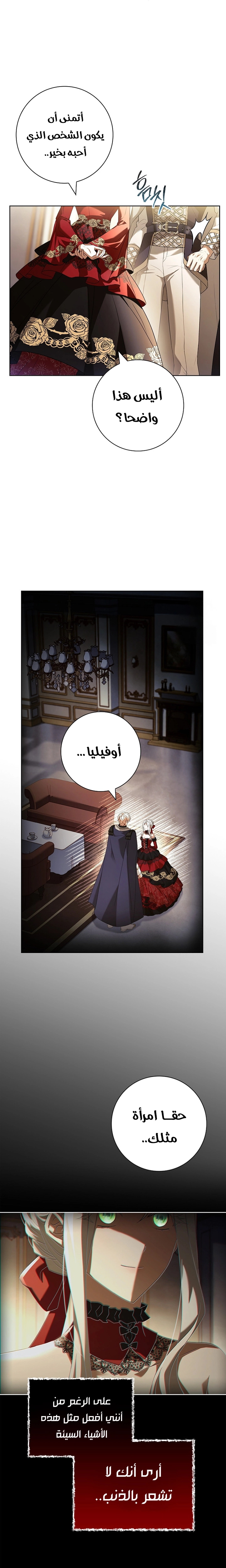 الصفحة 17