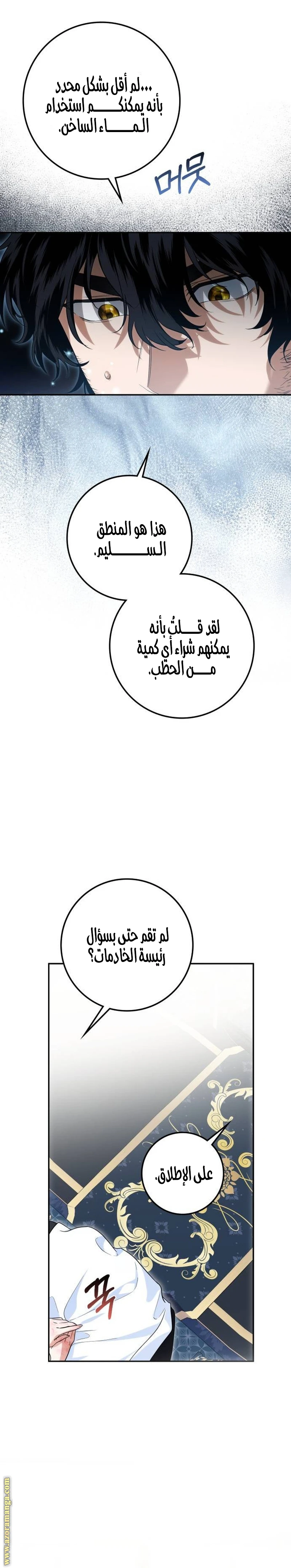 الصفحة 17