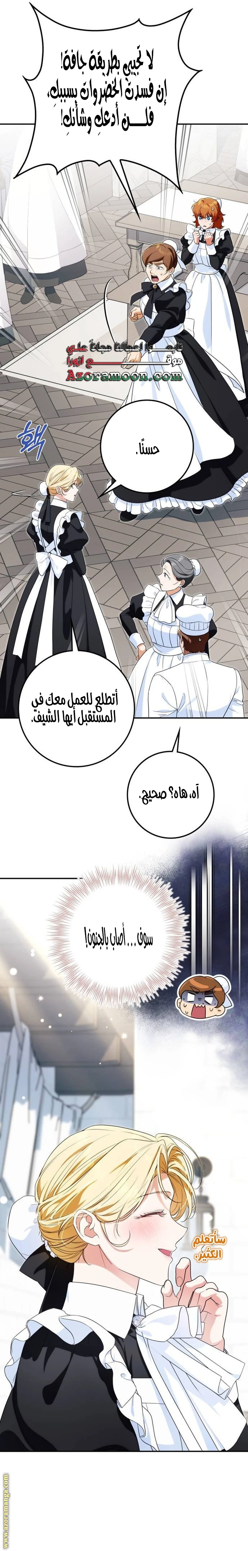 الصفحة 29