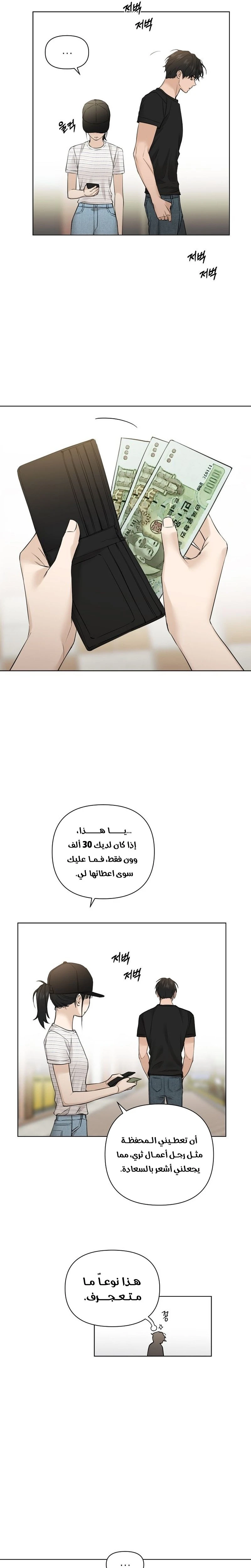 الصفحة 13