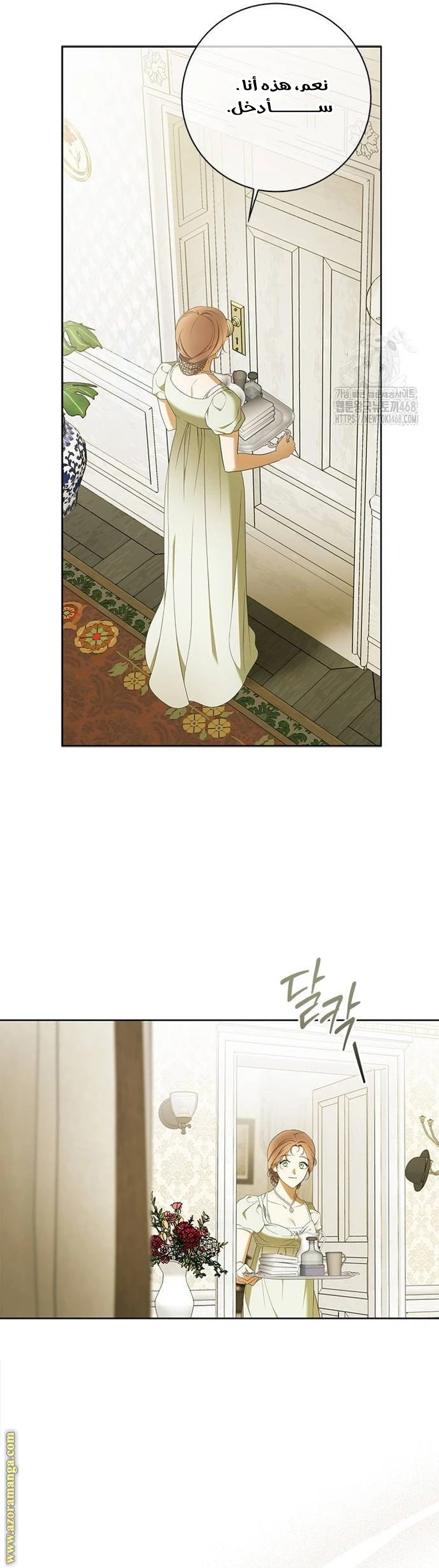 الصفحة 17