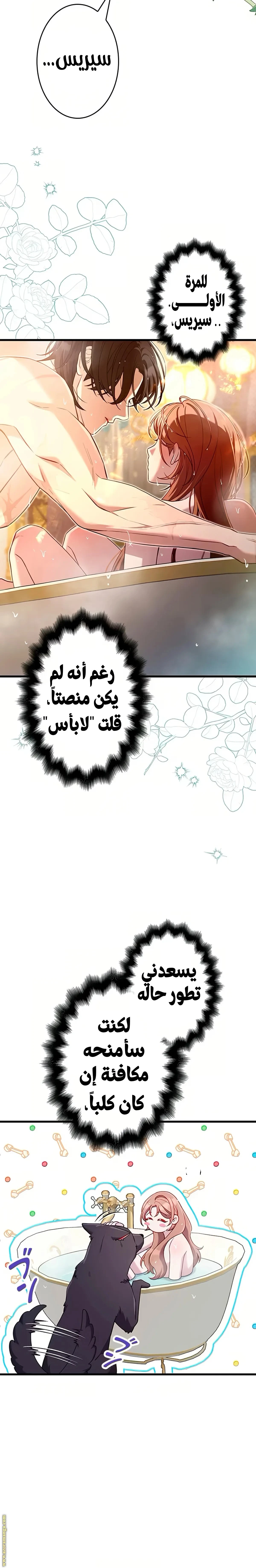 الصفحة 3