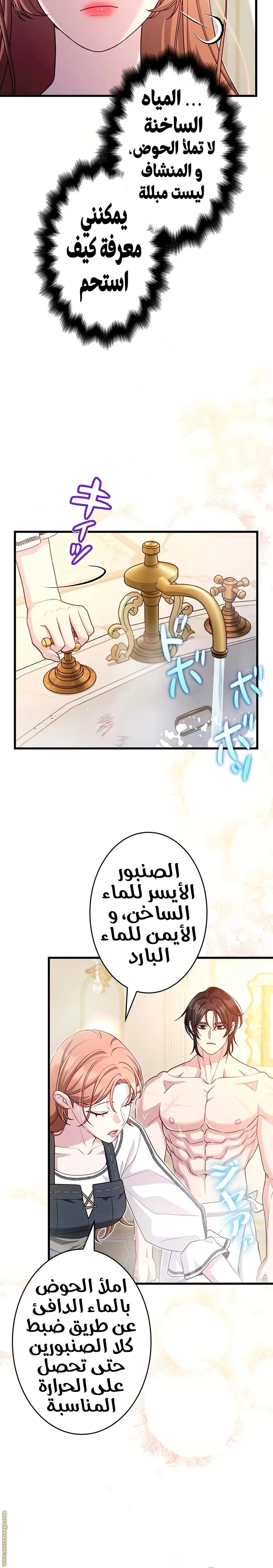 الصفحة 17