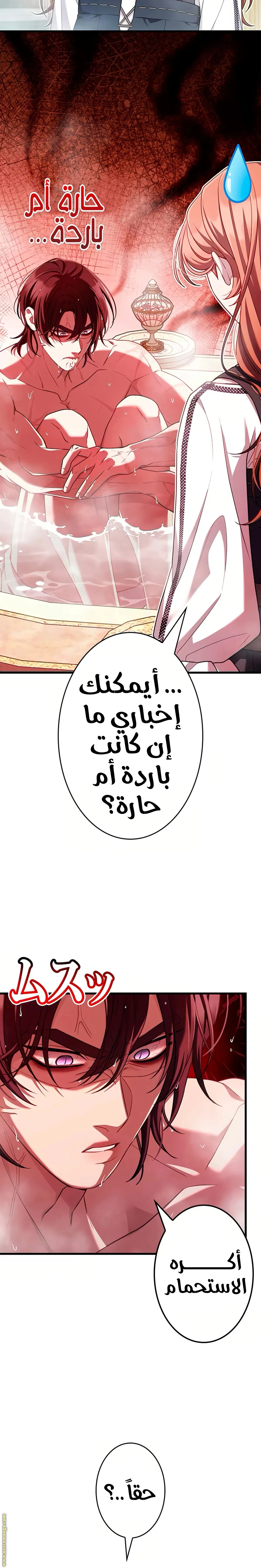 الصفحة 19