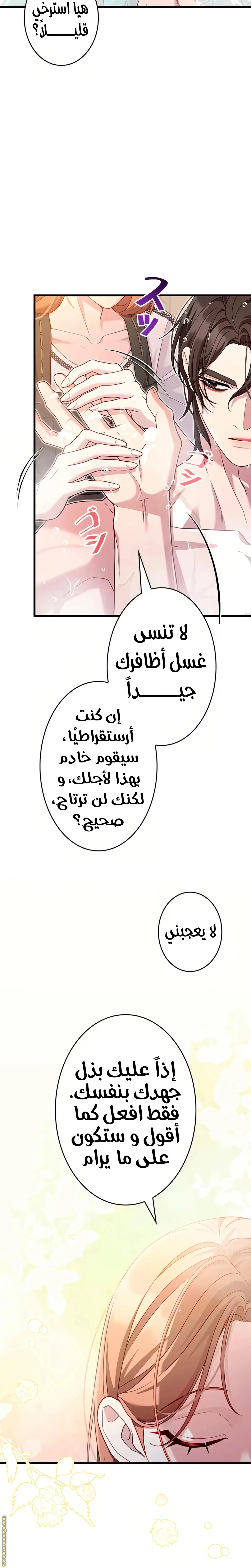 الصفحة 27