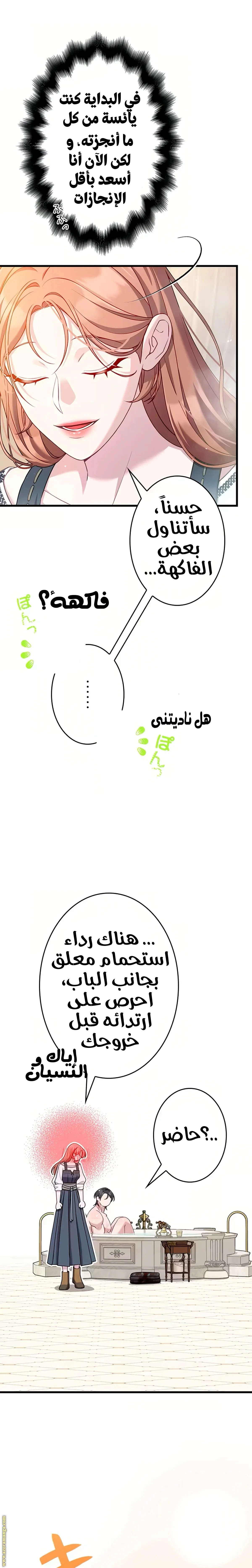 الصفحة 29