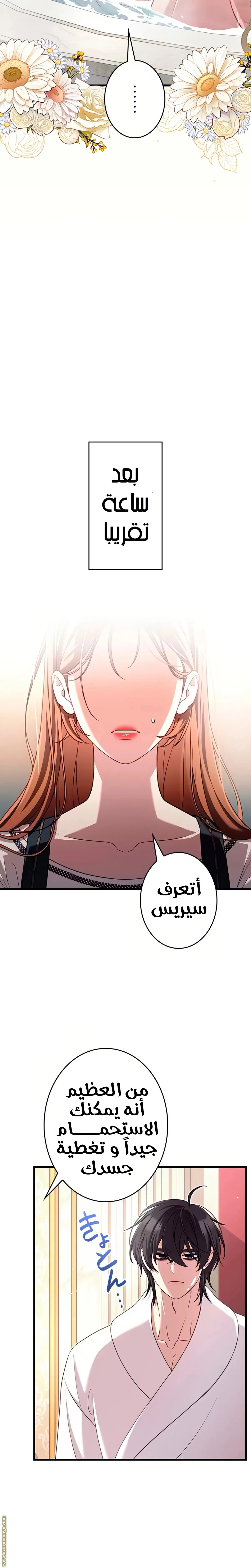 الصفحة 31
