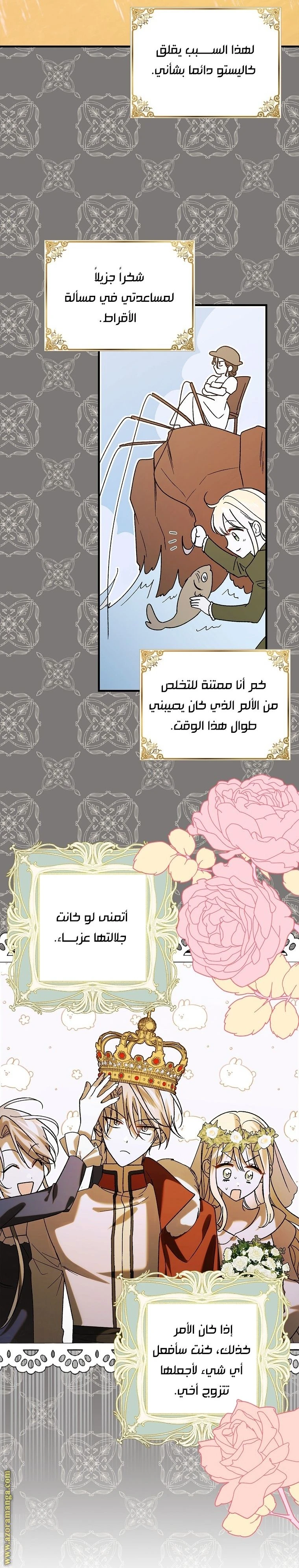 الصفحة 13