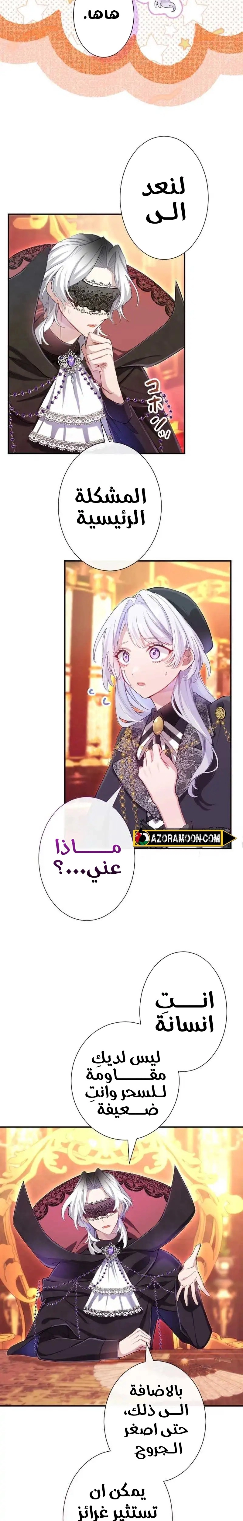 الصفحة 24