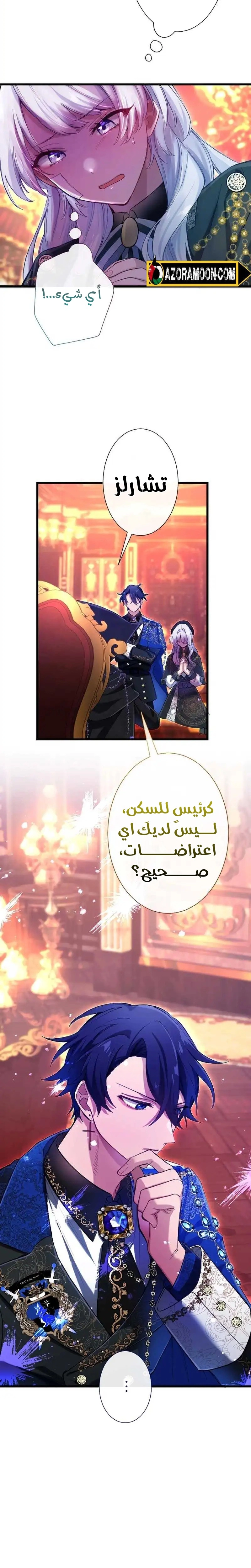 الصفحة 28