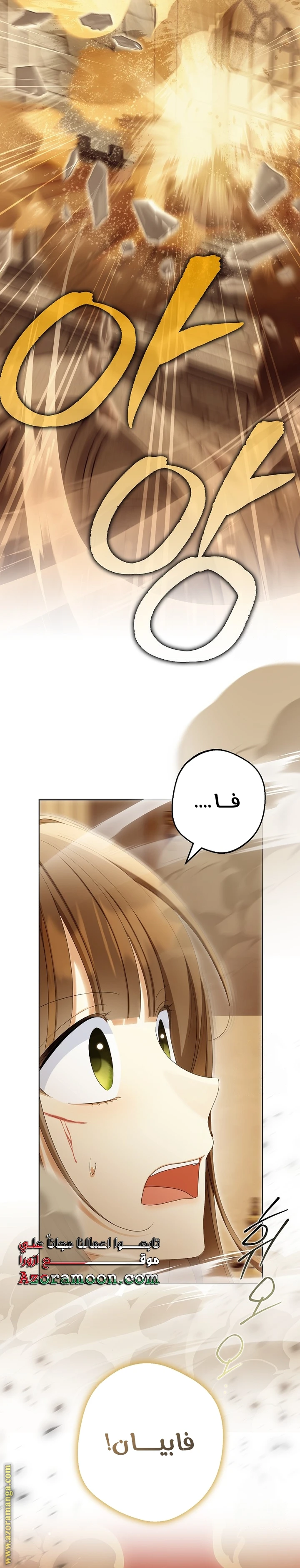 الصفحة 12