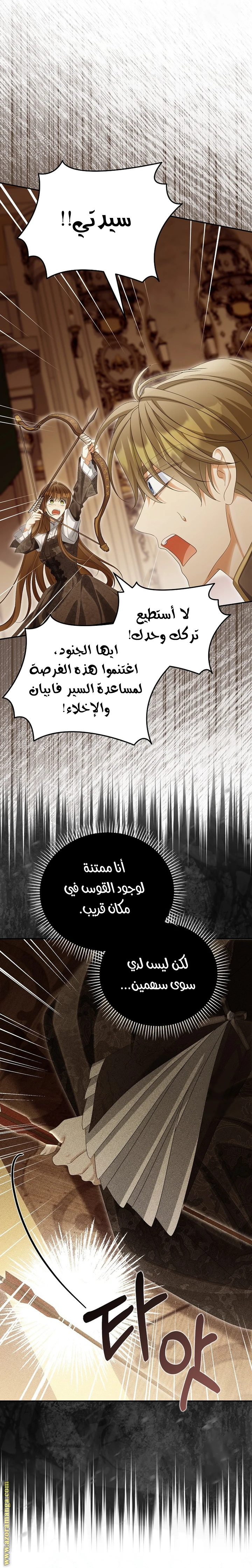 الصفحة 25
