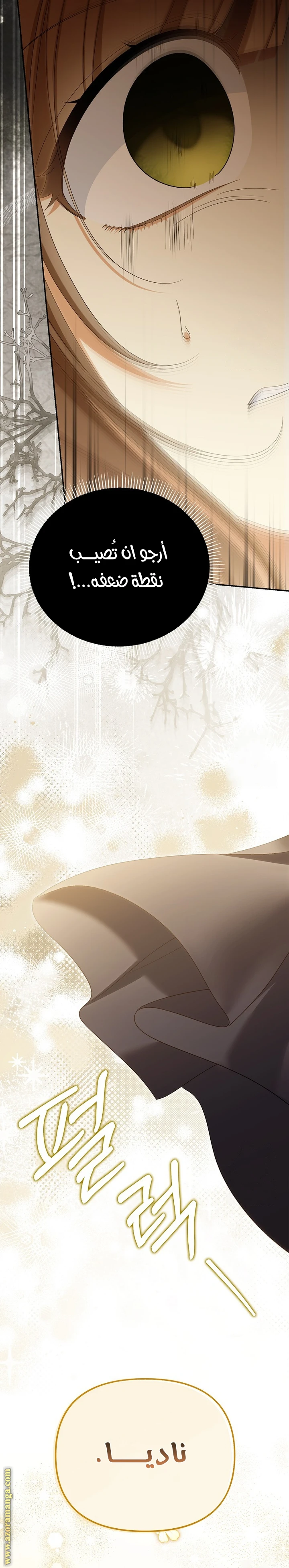 الصفحة 28