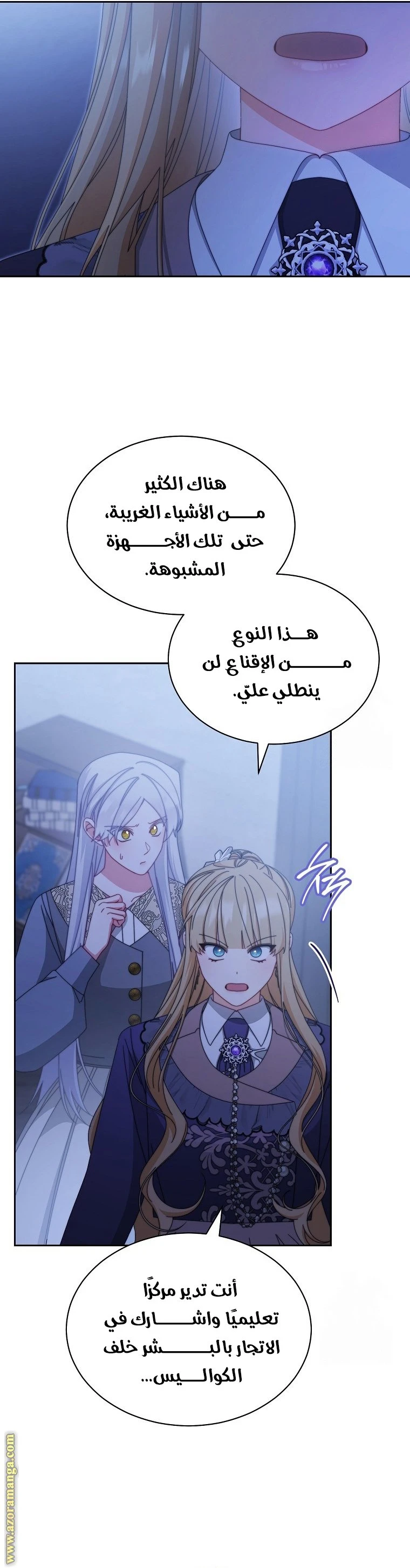 الصفحة 29