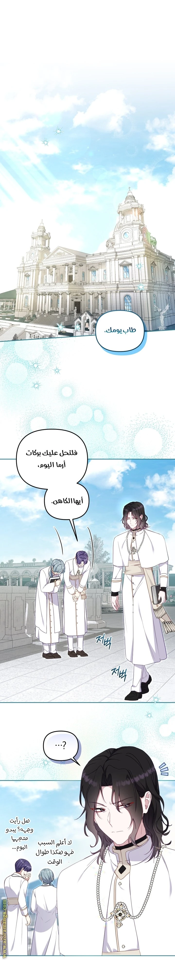 الصفحة 11