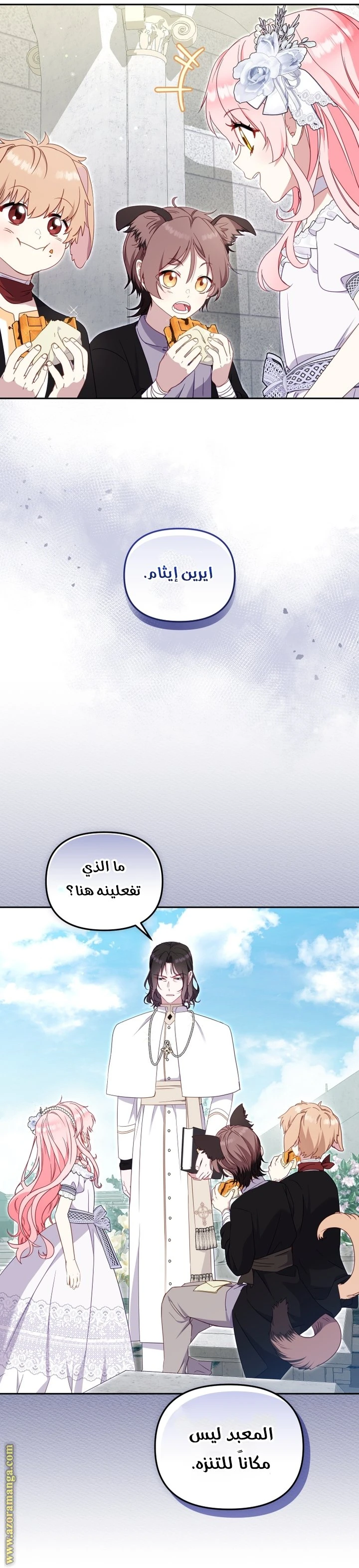 الصفحة 13