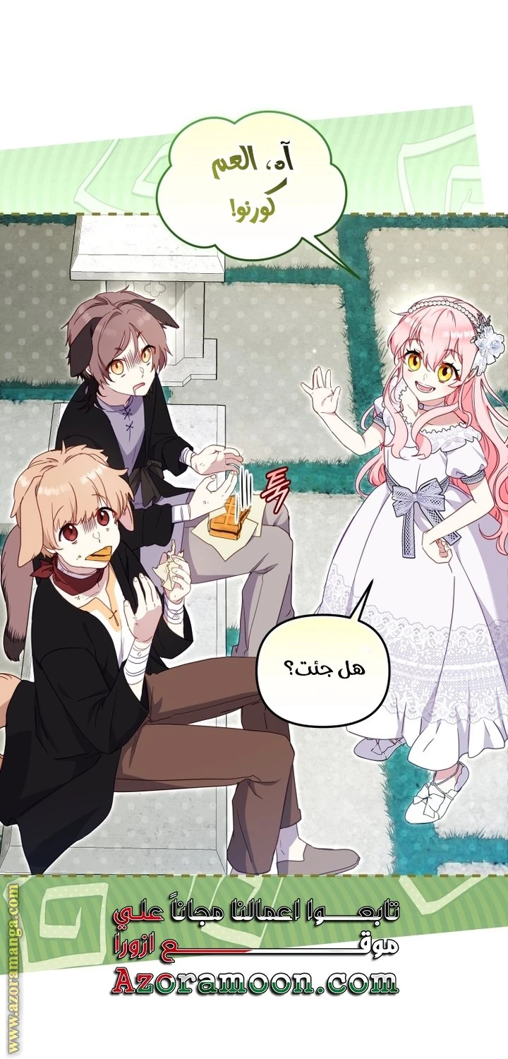 الصفحة 14