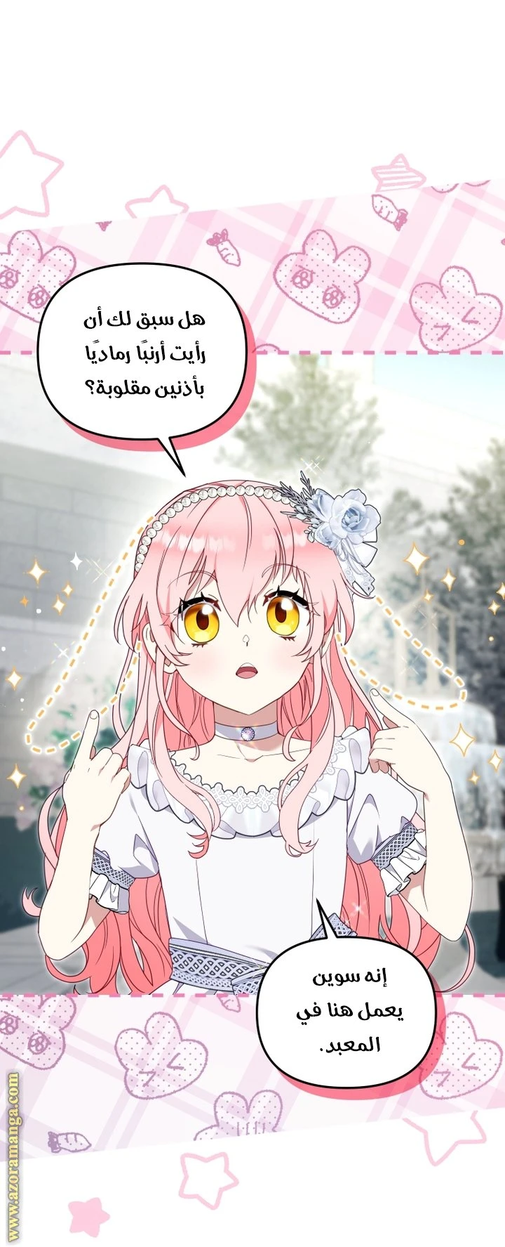 الصفحة 17