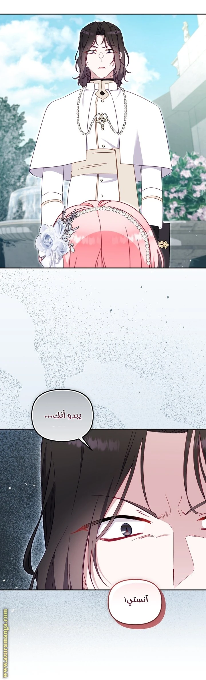 الصفحة 24