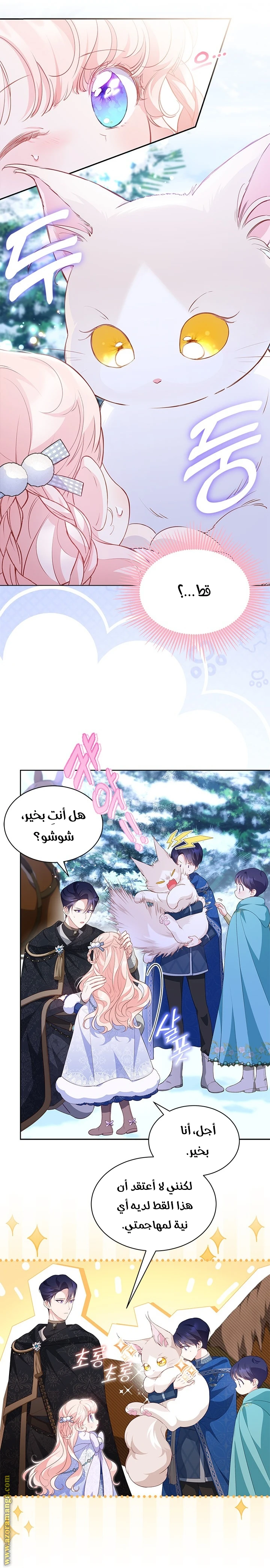 الصفحة 3