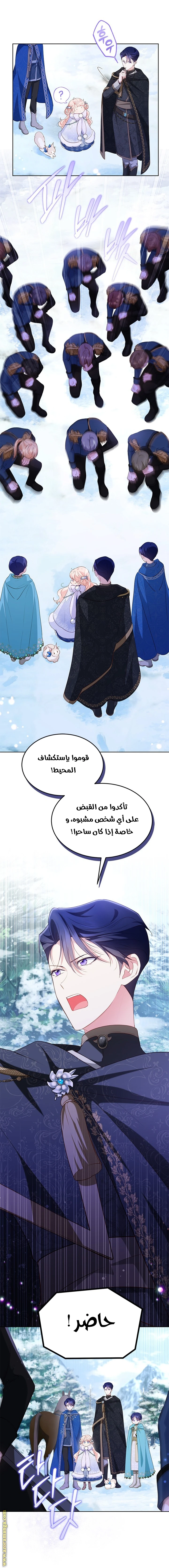 الصفحة 26