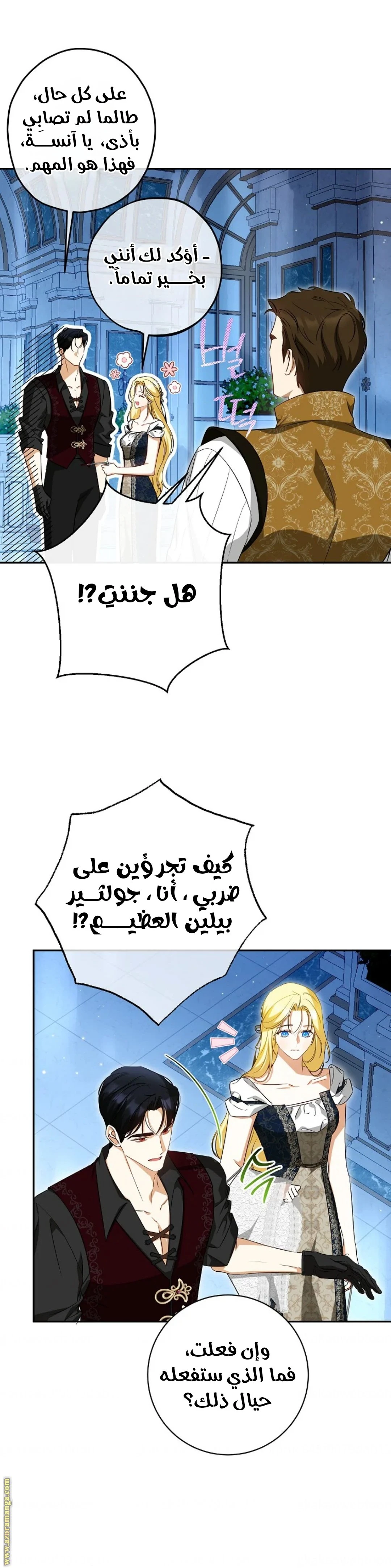 الصفحة 13