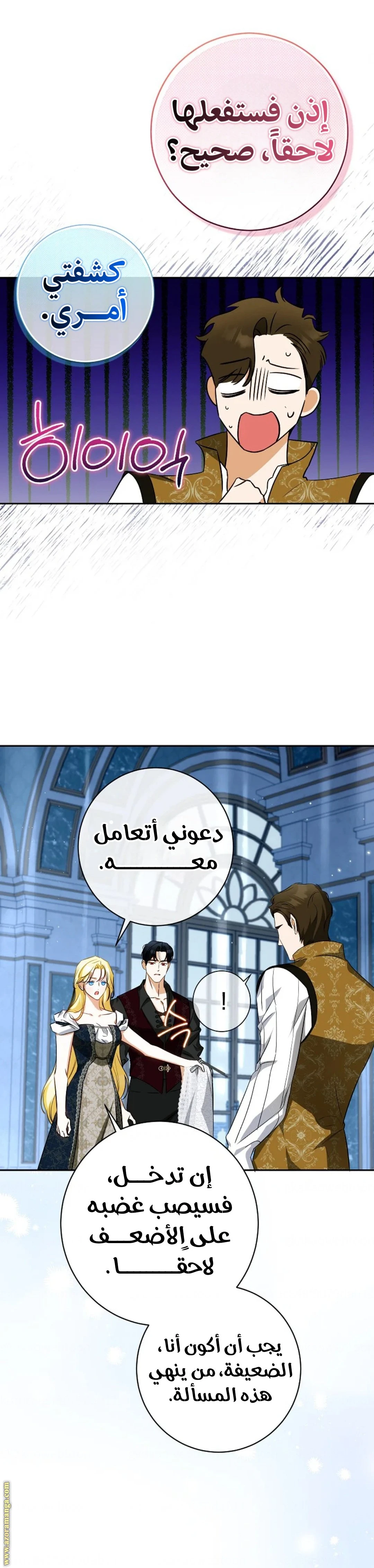 الصفحة 17