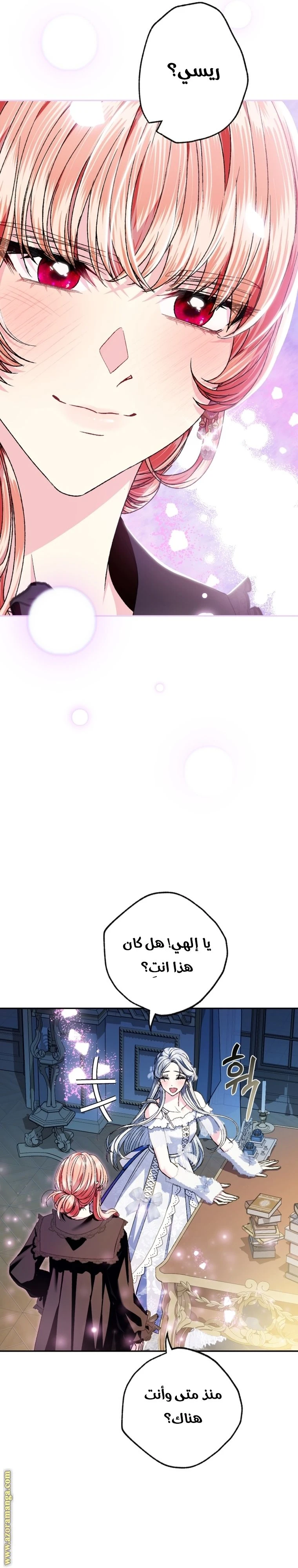 الصفحة 11