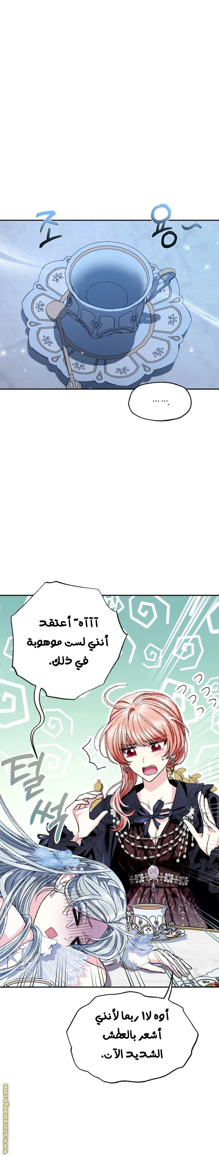 الصفحة 27