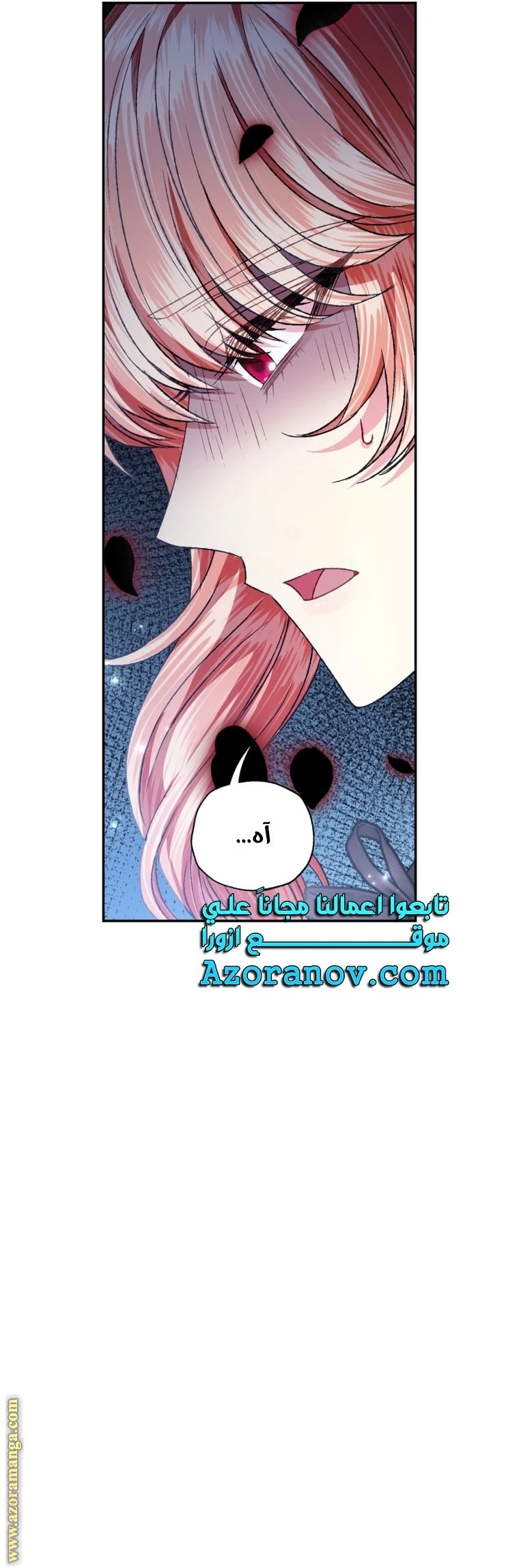 الصفحة 40