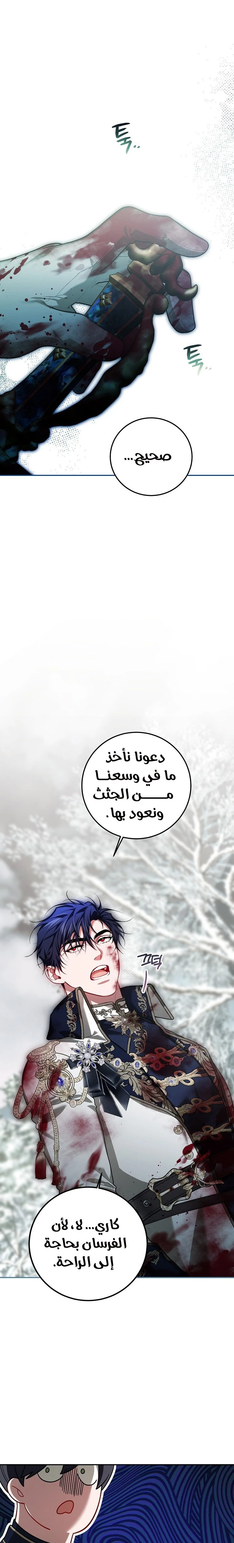 الصفحة 17