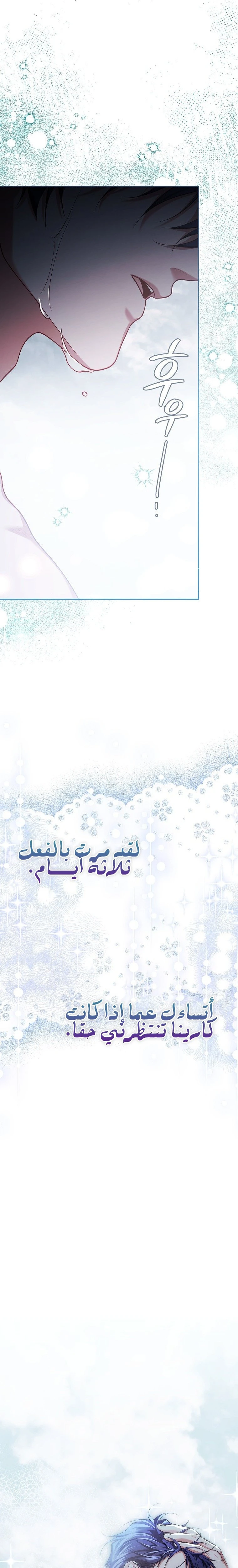 الصفحة 25