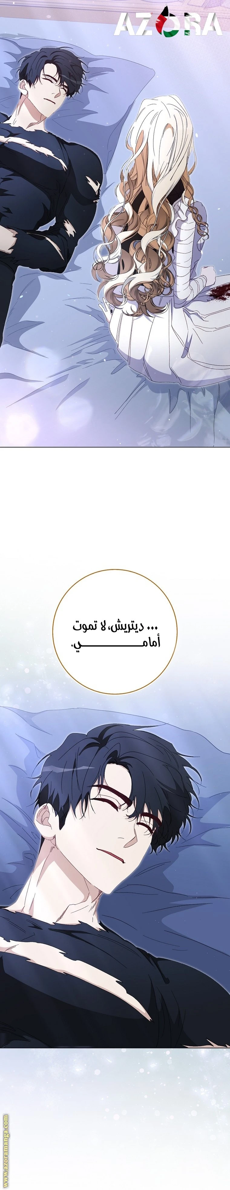 الصفحة 25