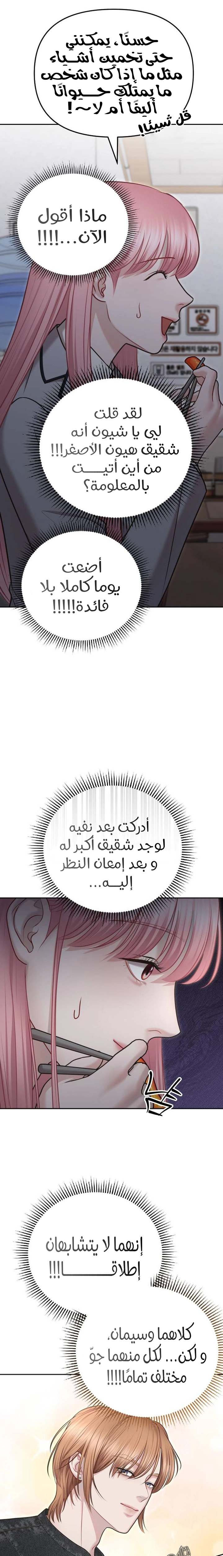 الصفحة 13