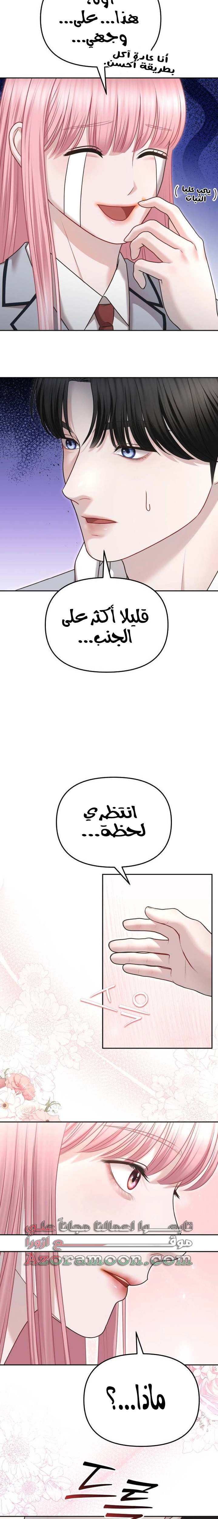 الصفحة 16