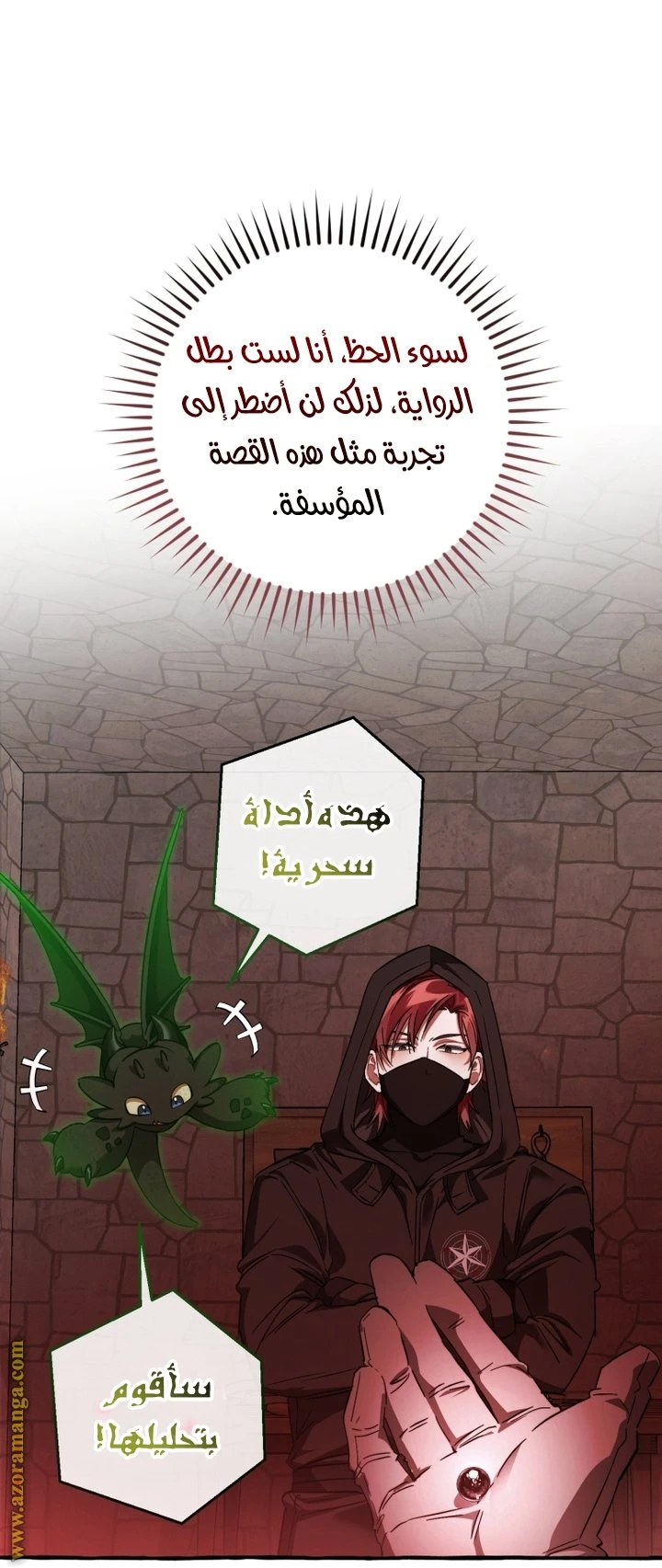 الصفحة 21