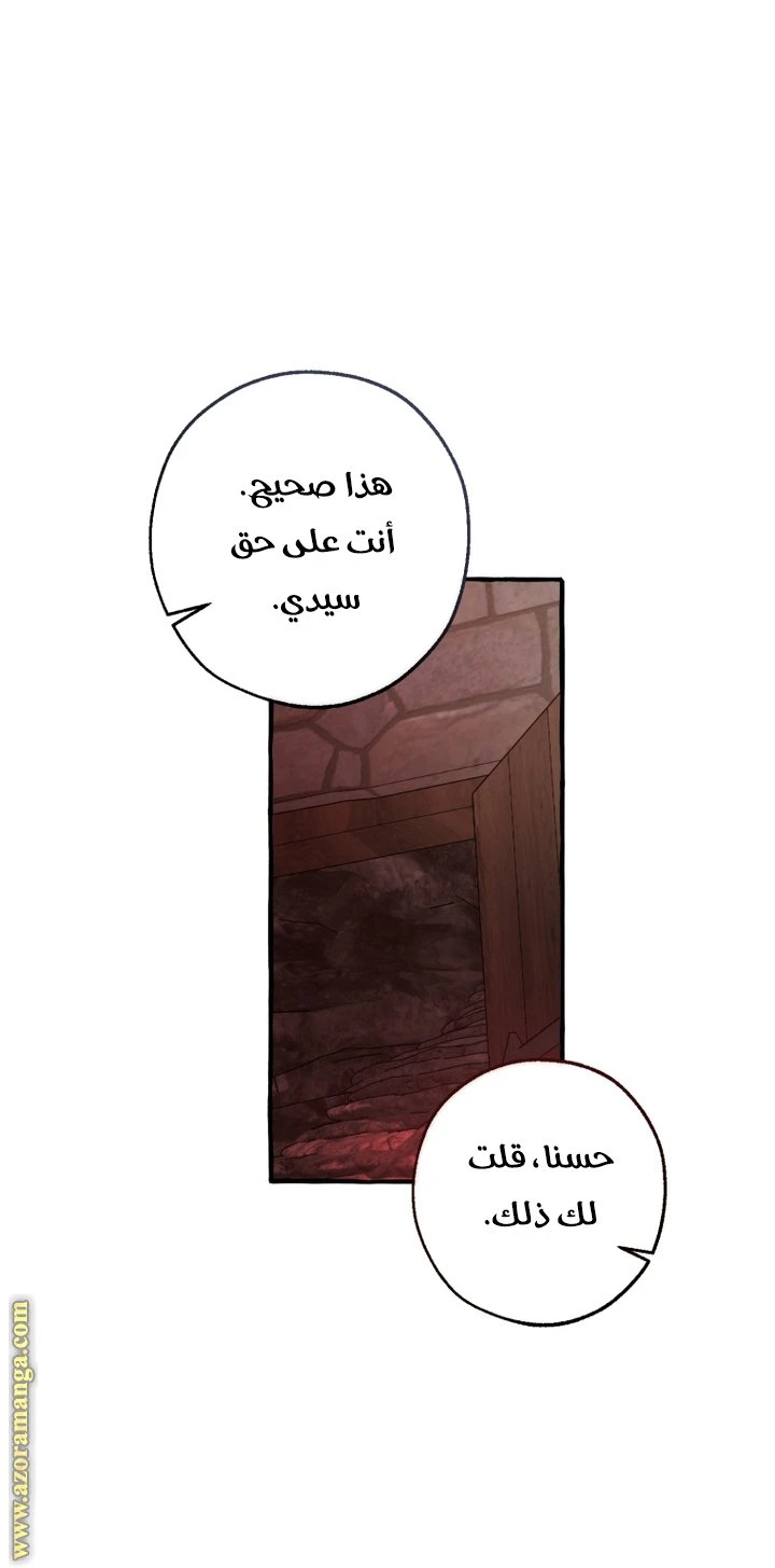 الصفحة 41