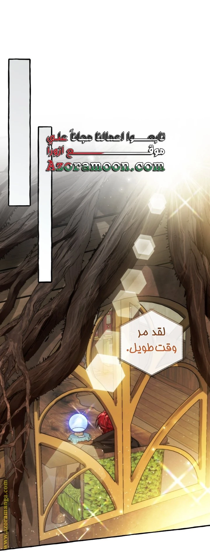 الصفحة 43