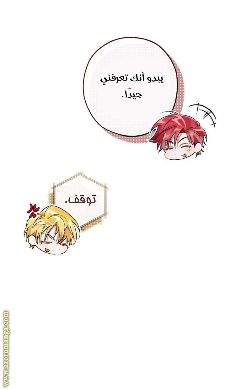 الصفحة 45