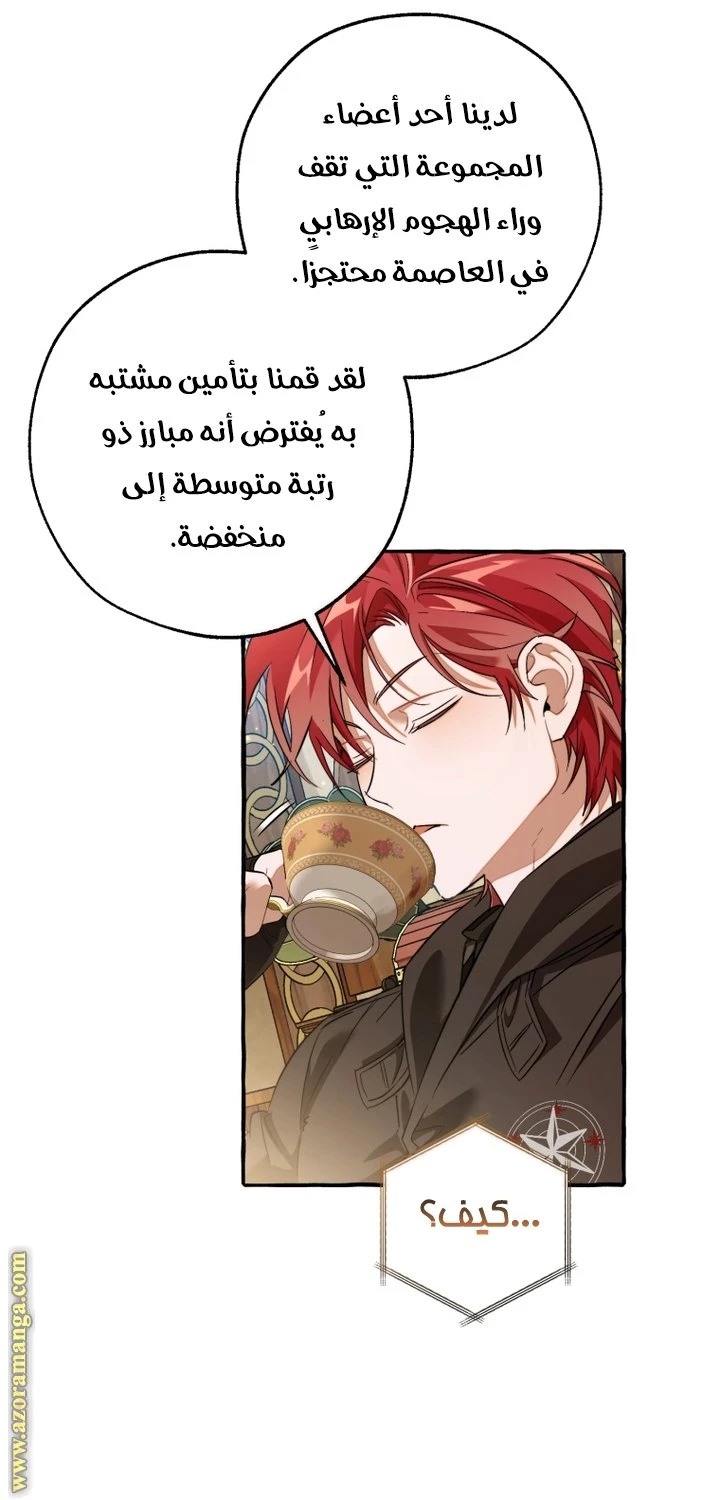 الصفحة 46