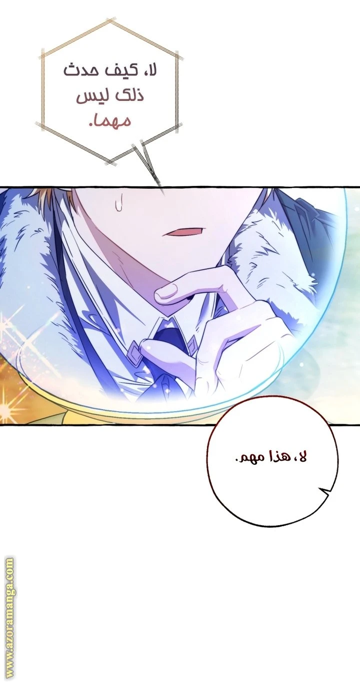 الصفحة 47