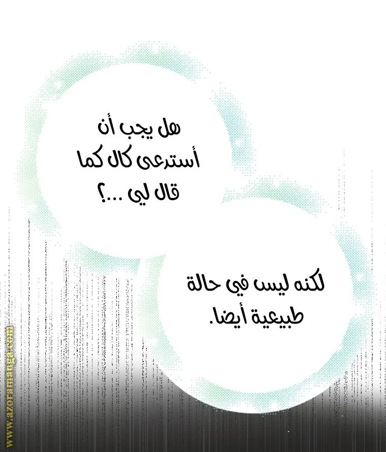 الصفحة 29