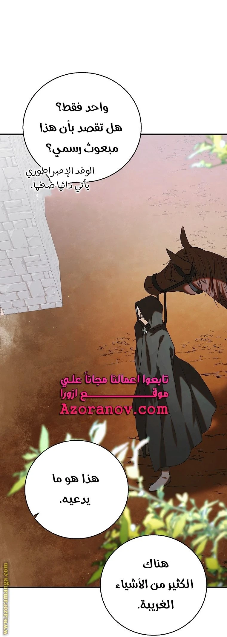 الصفحة 47