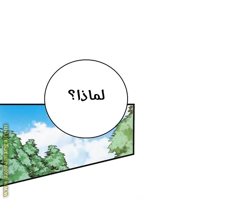 الصفحة 62