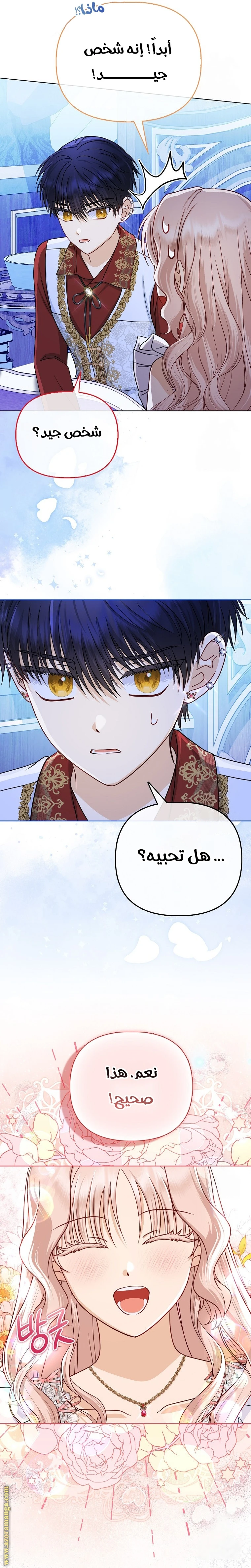 الصفحة 17
