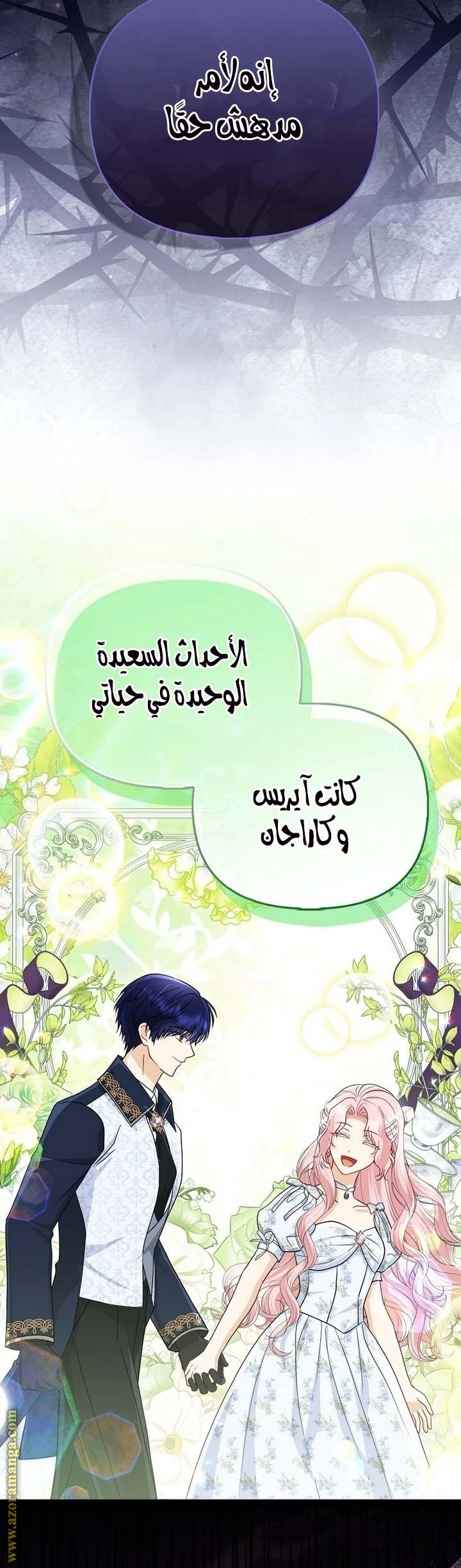 الصفحة 21