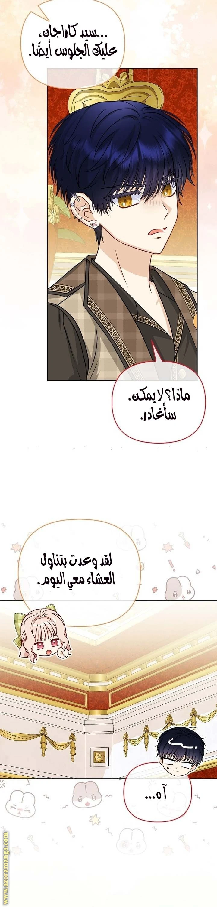 الصفحة 43